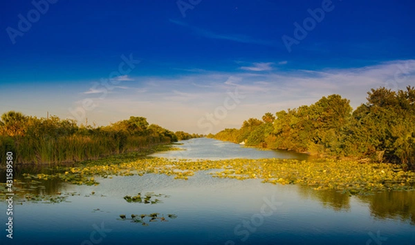 Obraz Cape Coral, Florida Lake