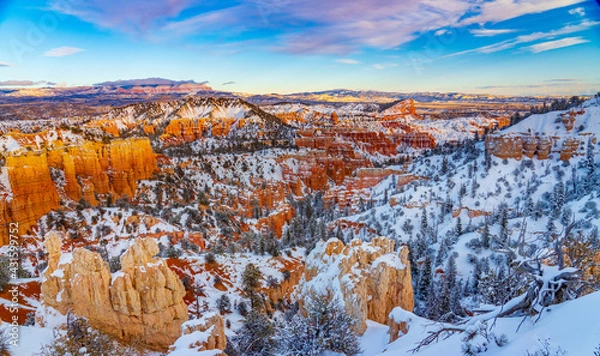 Obraz Winter in Bryce Canyon