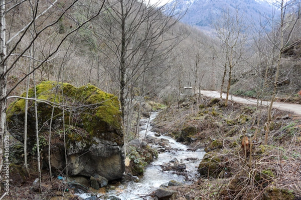 Fototapeta stream in winter