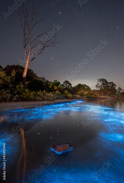 Obraz Orion reflected in water with bright blue bioluminescence all around