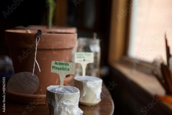 Fototapeta Fruitbowls earthday
