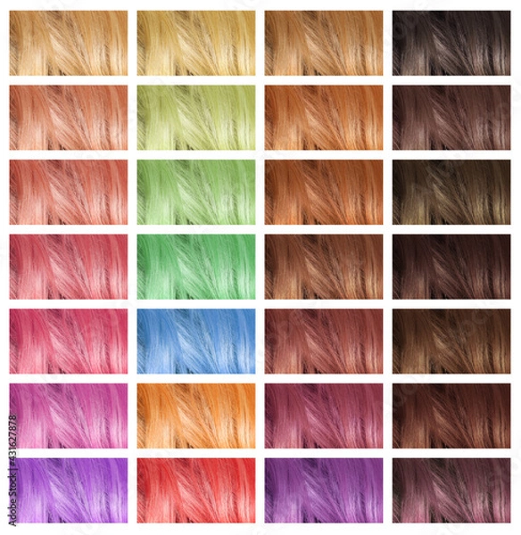 Fototapeta Samples of hair dyed in different colors