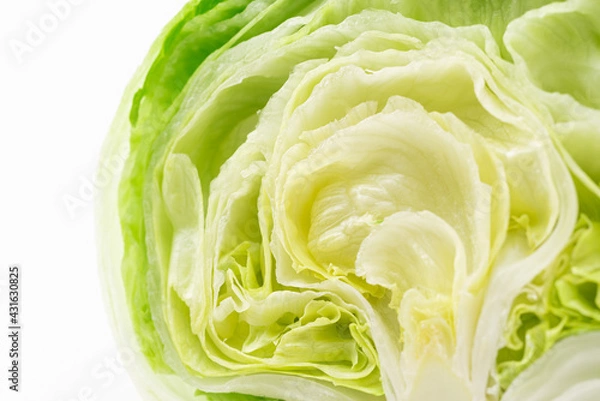 Fototapeta レタス