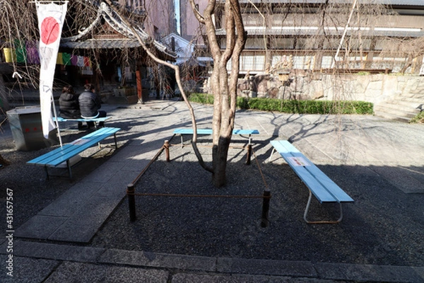 Obraz 六角堂_頂法寺