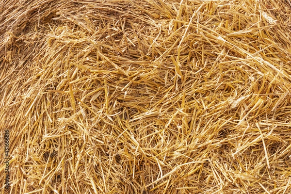 Fototapeta Dry straw macro shot. Background or Texture.