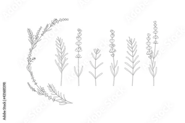Fototapeta floral lavender black sketch set