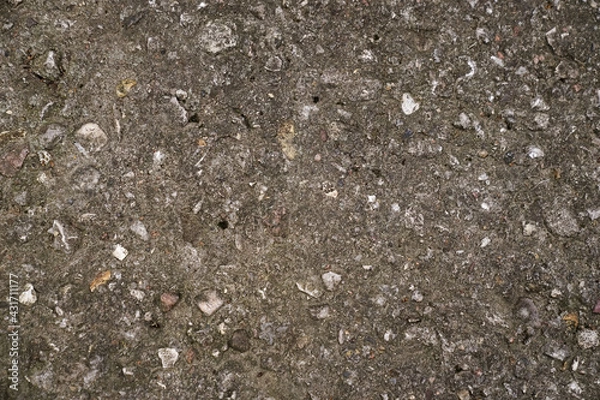 Obraz Old grey concrete surface texture