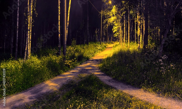 Obraz Two paths among grass and trees merged into one. Night view in the park with electric lighting of lanterns.