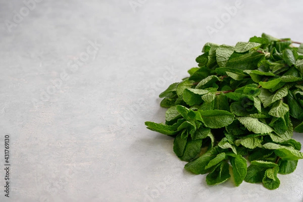 Obraz Fresh aromatic mint on a light background