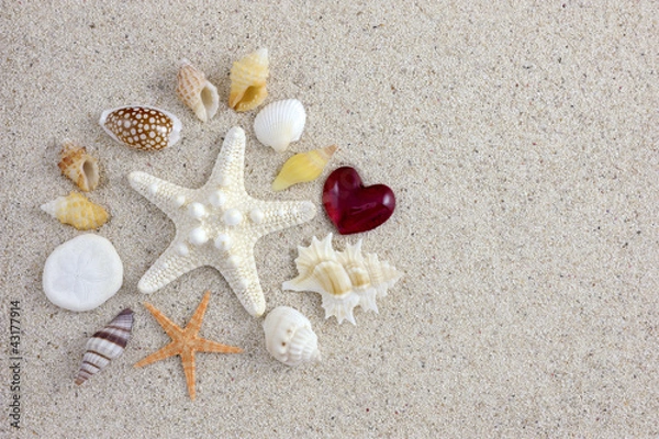 Obraz ヒトデと貝殻とハート