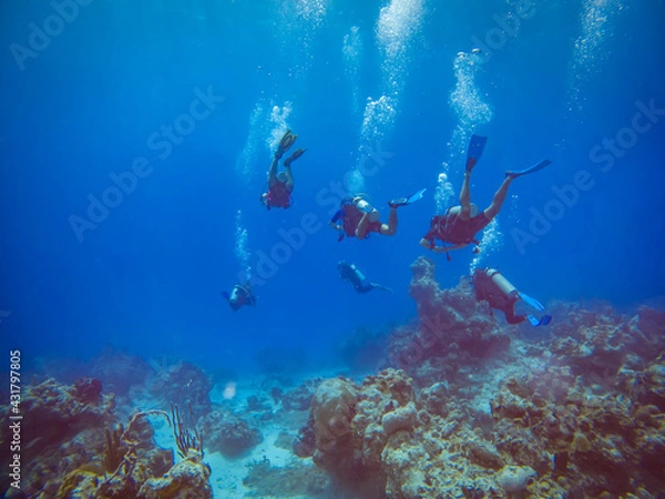 Fototapeta Group of divers swimming over a reef. Chinchorro diving.  