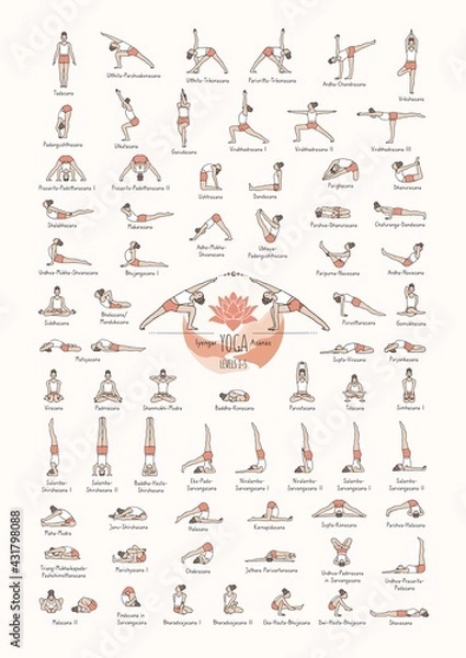 Obraz Hand drawn poster of hatha yoga poses and their names, Iyengar yoga asanas difficulty levels 1-5