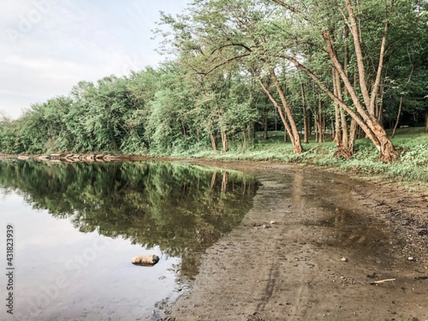 Obraz path in the forest