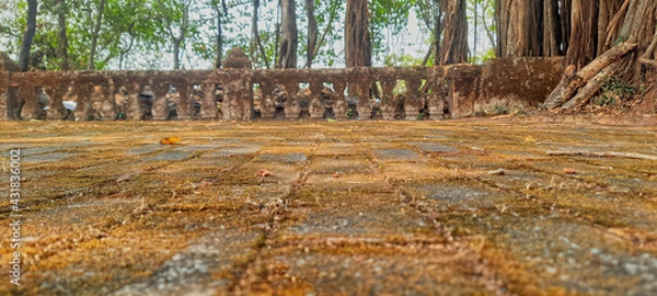 Obraz Moss Texture Near Banyan Tree