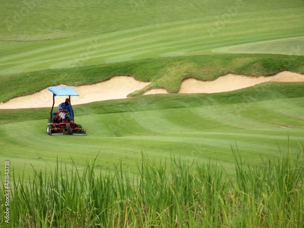 Fototapeta Isolated close-up of a Golf course worker using a ride on lawn mower cuts the grass on the fairway in a pattern of lines on an immaculately prepared fairway