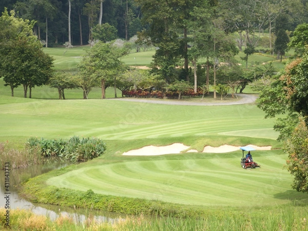 Fototapeta Golf course worker using a ride on lawn mower cuts the grass on the fairway in a pattern of lines on an immaculately prepared fairway with trees in the background