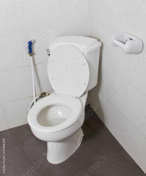 Obraz Toilet