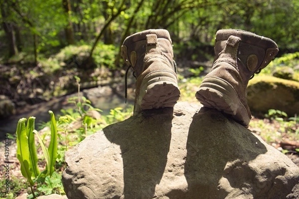 Fototapeta An experienced tourist's boots are drying in the sun on a warm spring day on a stone in the forest. Shallow depth of field. A large black beetle climbs the stone. Travel atmosphere.