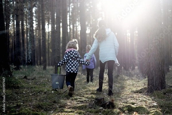 Obraz Mushroom hunting