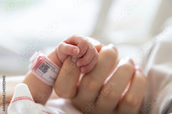 Obraz new born baby hand hold mum index finger. concept : Premature or preterm baby in hospital. relationship between mother and baby.