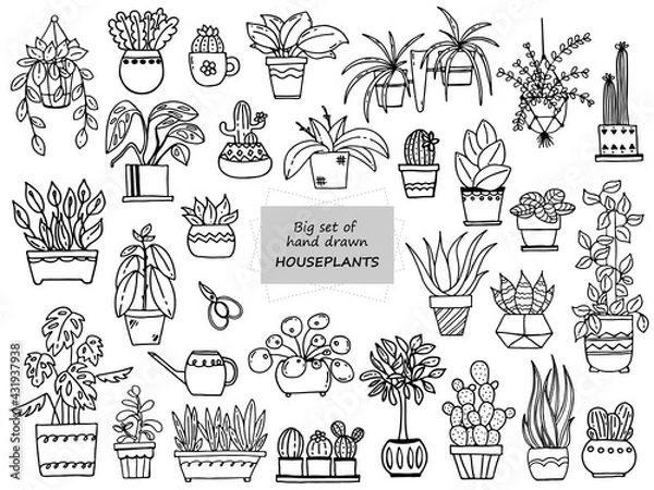 Fototapeta Big set of hand drawn houseplants. Set of doodle images of plants for home. Vector images for the decoration of various goods, textiles, postcards, notebooks, notebooks. Cacti, monsters, succulents 