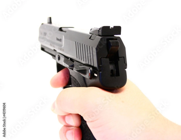 Obraz Handgun