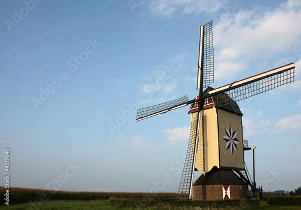 Obraz Windmill