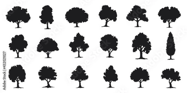 Fototapeta various deciduous trees silhouettes on the white background