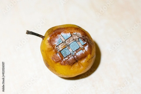 Obraz pear with processor