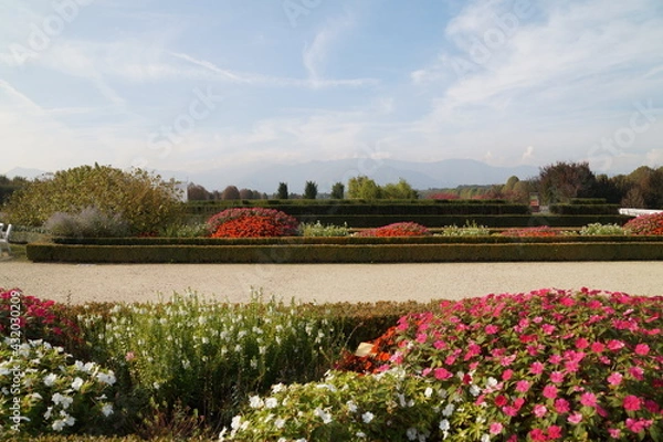 Obraz garden in spring