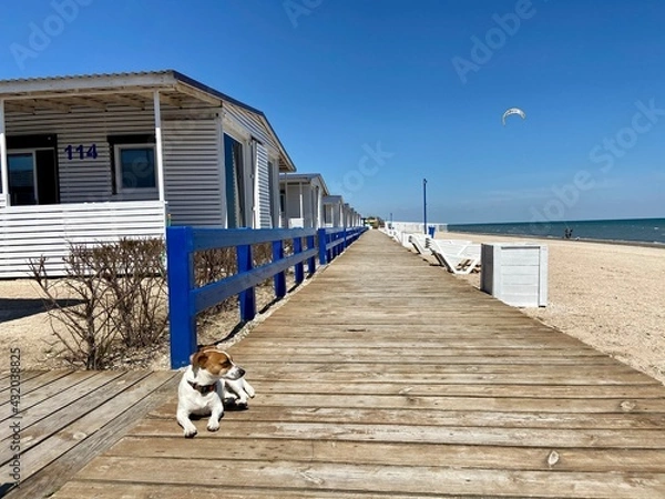 Obraz beach hut on the beach