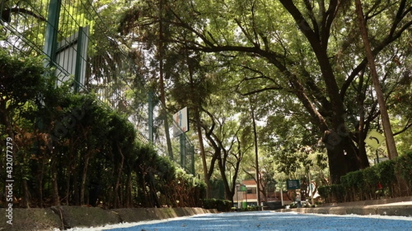 Obraz Colonia Napoles