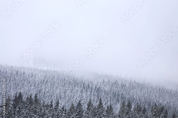 Obraz Beautiful winter landscape with snow covered trees in Czech Republic