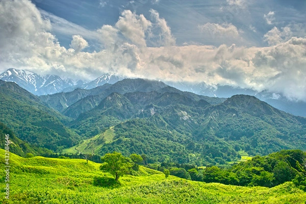 Obraz 新緑の頃（山形県小国町）