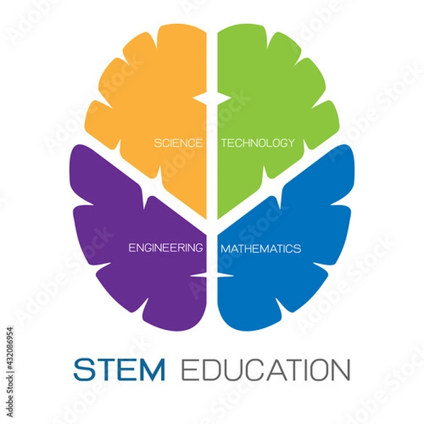 Obraz STEM Education vector Logo. Brain shape logo vector icon. Company Logo. 