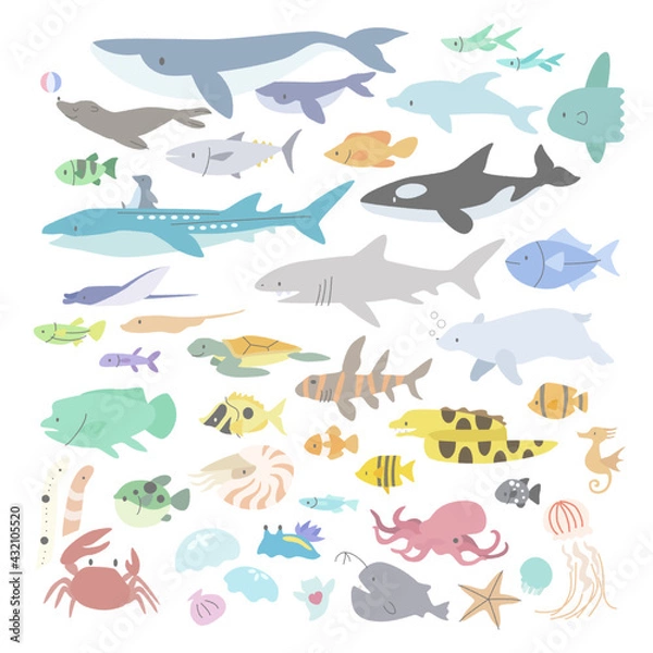 Obraz 海の動物のイラストセット