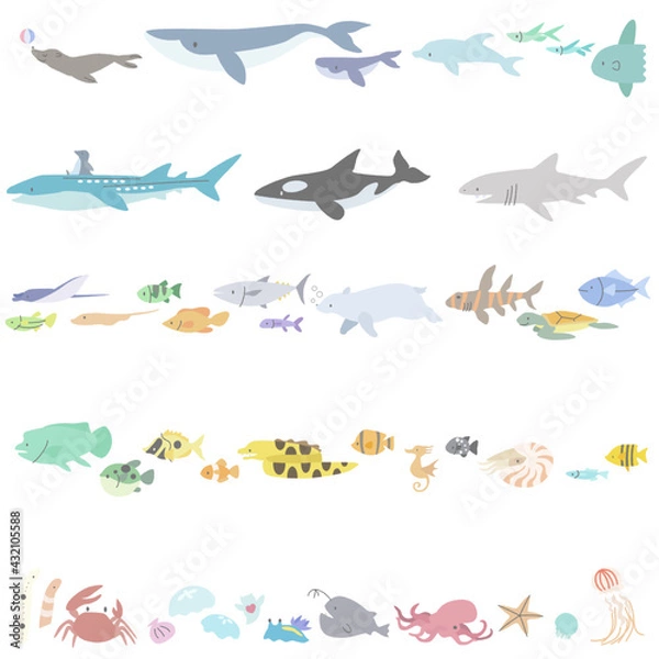 Obraz 海の動物のイラストセット(罫線)