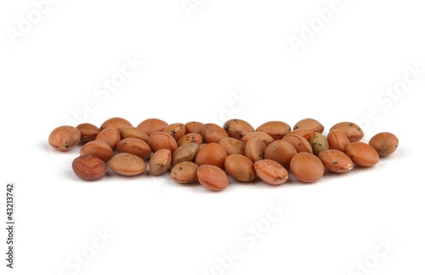 Fototapeta Red lentils