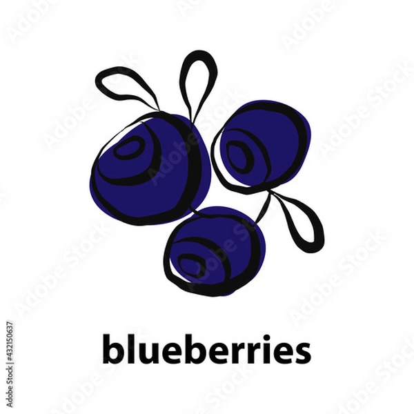 Fototapeta Blueberries. Healthy food. Fresh blueberry icon on white background flat vector illustration for logo, website, app, user interface, drawn with a brush