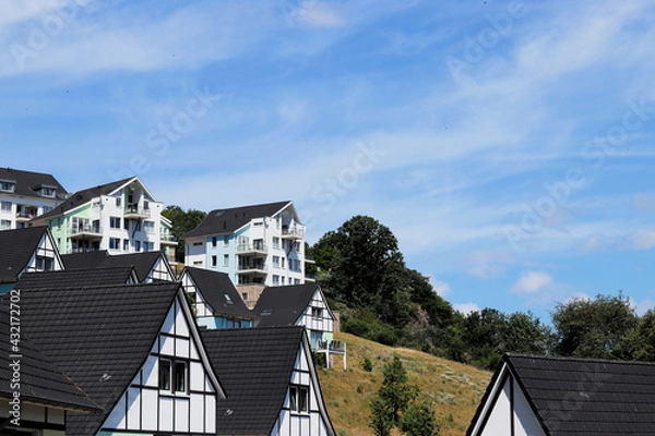 Fototapeta Timbered houses with trees in the background