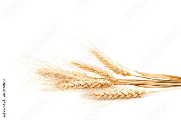 Fototapeta Sheaf of wheat ears on white background.