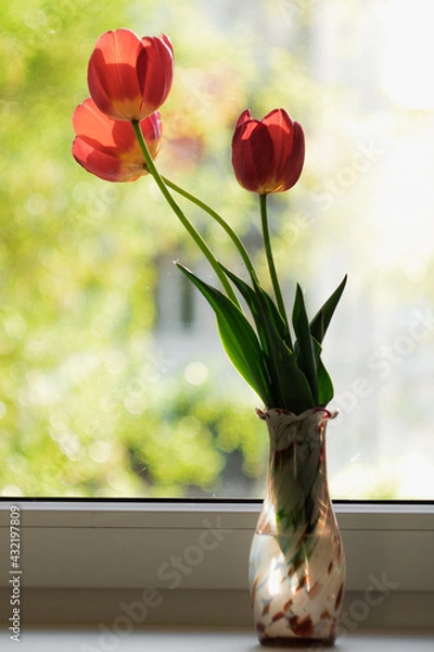 Fototapeta Red tulips in a vase stand on a windowsill against a background of beautiful bokeh. Sunny spring day outside the window. Cozy home or congratulation concept.