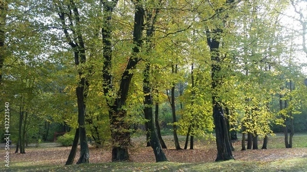 Obraz In the park,Wejherowo