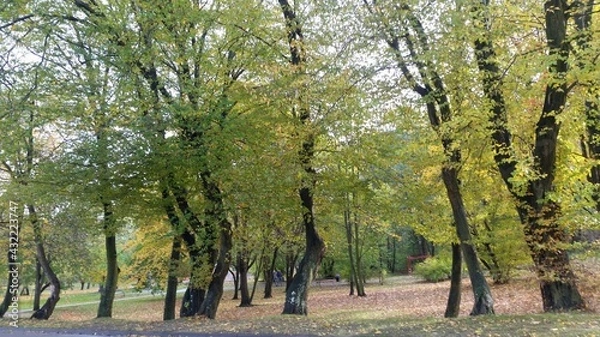 Obraz In the park 2 - Wejherowo