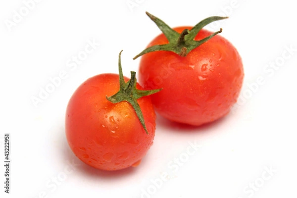 Obraz Tomates