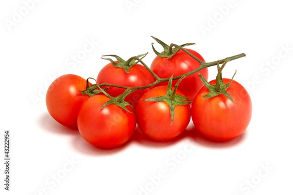 Obraz Ristra de tomates cherry
