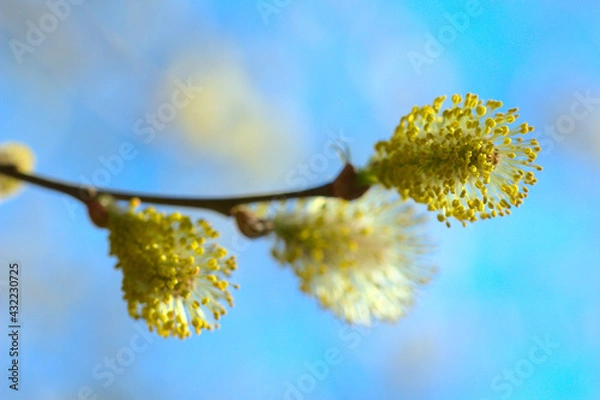 Obraz Bazie nad brzegiem jeziora