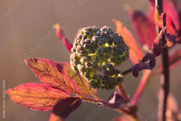 Obraz Wiosna w lesie