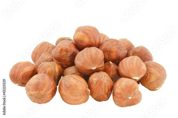 Obraz Small group of hazelnuts.