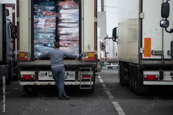 Fototapeta unloading of goods from the truck, checking the imported cargo, a person stands in front of the open body and examines, enhanced customs inspection and export verification